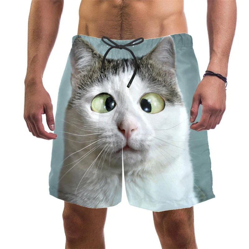 Celana pendek pantai kucing lu - Trunks Board Surf ulasan dan harga