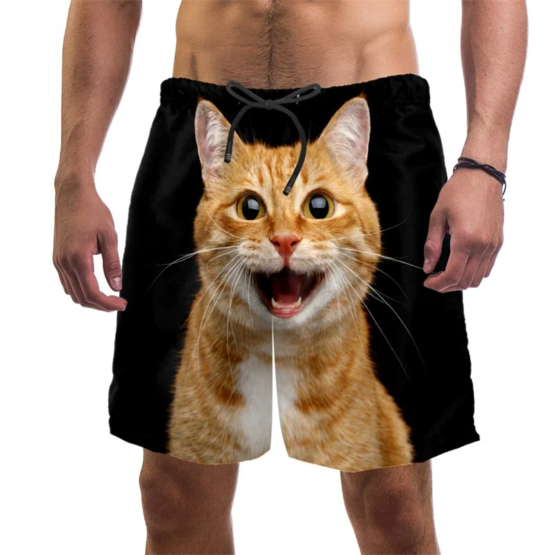 Celana pendek pantai kucing lu - Trunks Board Surf ulasan dan harga