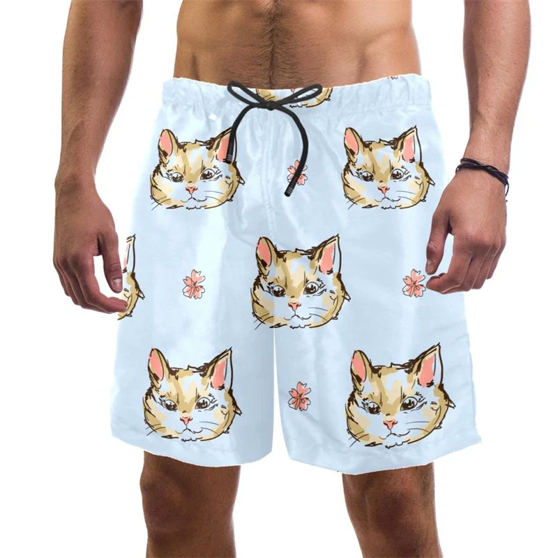 Celana pendek pantai kucing lu - Trunks Board Surf ulasan dan harga